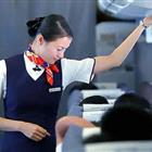 航空服務（票務、安檢方向）、航空乘務定向委培